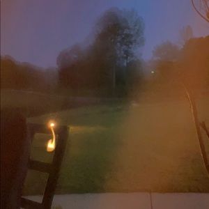 Meet your Posher, Lyndie